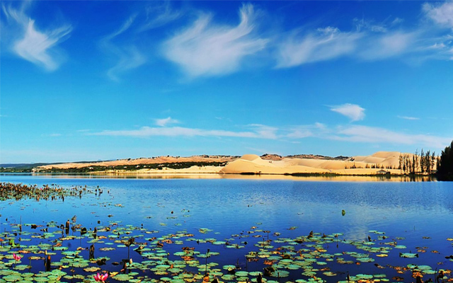 Bàu Trắng - Bàu Sen: Điểm du lịch ở Phan Thiết